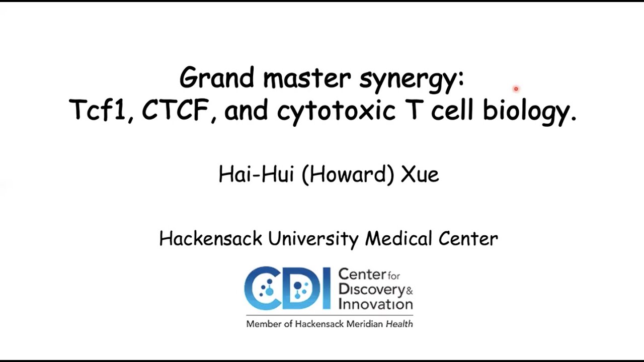 3D genome reorganization underlies cytotoxic T cell differentiation
