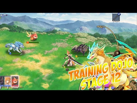 Training Dojo Stage