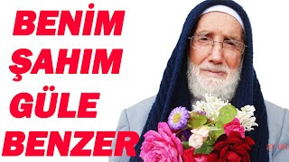 BENİM ŞEYHİM GÜLE BENZER - [İLAHİ] - HACI MUSTAFA GÜNEŞ Resimi