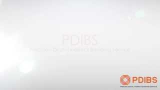 PDIBS: Portal
