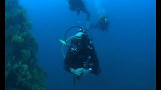 Ullastres 3 y 2 Diversub