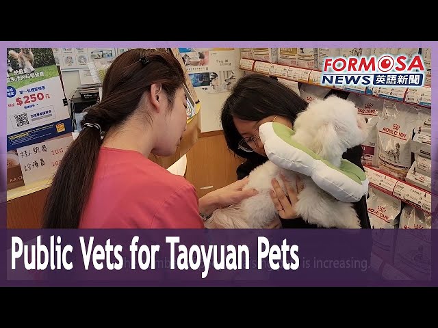 Taoyuan is finalizing plans for public veterinary clinic｜Taiwan News