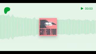 DE SOFFER - Cry For You (Extended Mix)