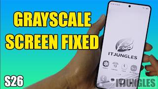 Fix Grayscale / Black & White Screen on Samsung Galaxy S26/S26+/Ultra (3 Methods)