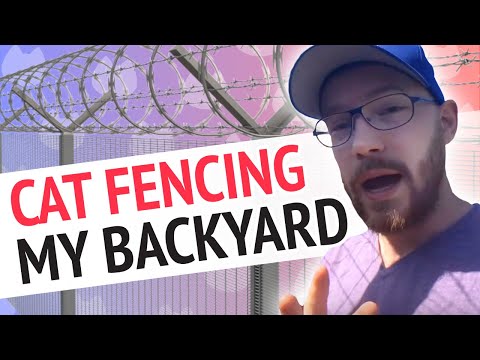 How to: Make a Cat Proof Fence!