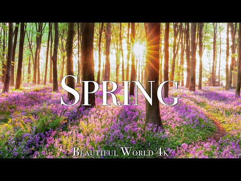 Amazing Colors Of Spring 4K Nature Relaxation Film - Relaxing Piano Music - Natural Landscape