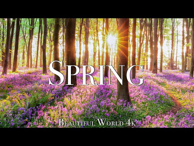 Amazing Colors of Spring 4K Nature Relaxation Film - Relaxing Piano Music - Natural Landscape class=