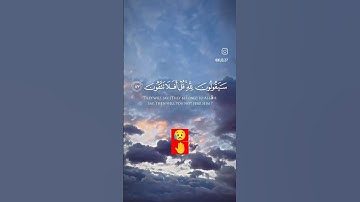 #قرآن #ياسر_الدوسري #تلاوة_خاشعة #راحة_نفسية #اكسبلور #يوميات #الجزائر #السعودية #مشايخ #explore 💙💙💙