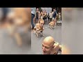Linux Distro Overview Plan and Tech Robot / Body Snatcher Dog