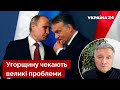 👀 АВАКОВ: Орбану кінець за змову з путіним – не можна домовлятися з людожером / новини / Україна 24