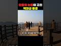 단종의 눈물이 멈춘 곳, 기차로 떠나는 영월 비경 여행