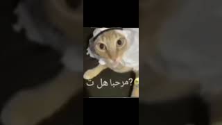 ramadan belum tiba