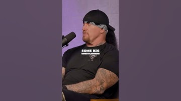 Undertaker Thoughts On Sting