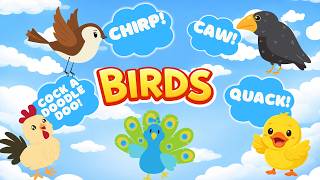 Learning Birds | Guess the Bird 🐦 | Fun Animal Guessing Game for Kids & Toddlers screenshot 3