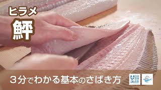 鮃（ひらめ）のさばき方 - How to filet Olive Flounder -｜日本さばけるプロジェクト（海と日本プロジェクト）