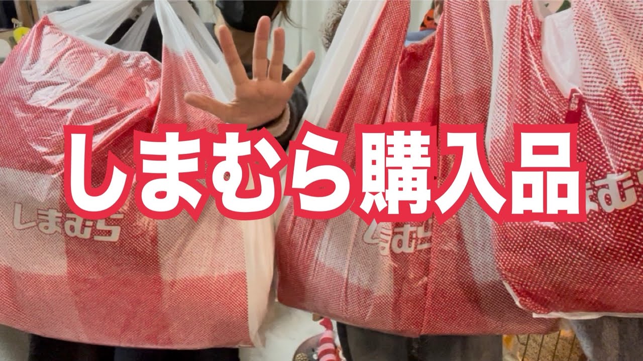 【しまむら購入品】Yumiさん商品半額以下でGET！底値セール♡猫も即寝！