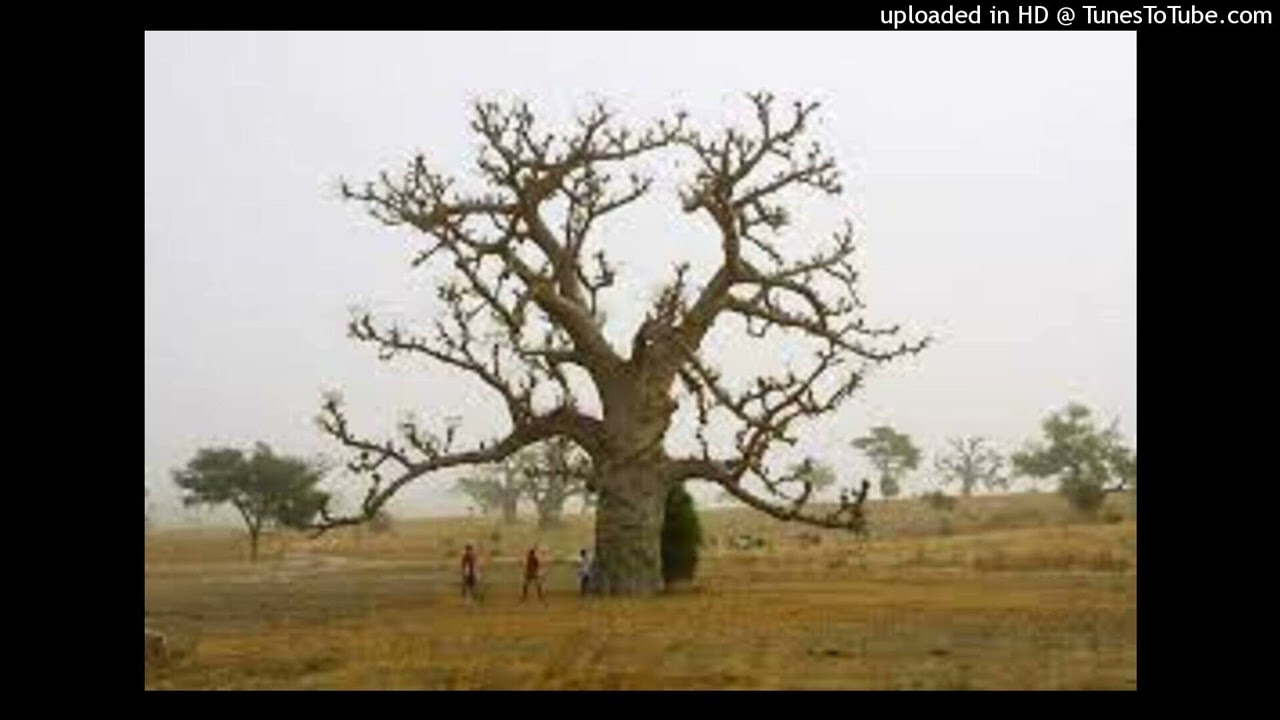 Conte : Dègnôya kanfô (histoire d'une amitié)