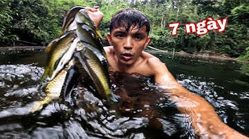 BÍ MẬT Của Rừng THIÊN | 7 Ngày Ngủ Qua Đêm Trong RỪNG Phát Hiện Điều Kinh Hoàng Giữa Rừng Sâu