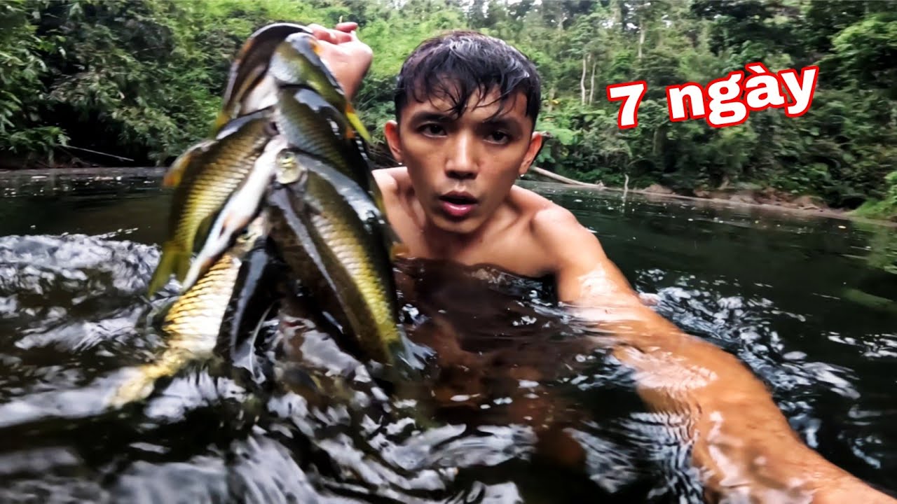 BÍ MẬT Của Rừng THIÊN | 7 Ngày Ngủ Qua Đêm Trong RỪNG Phát Hiện Điều Kinh Hoàng Giữa Rừng Sâu