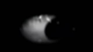 Famous mr fun computer but from sprunked (horror mode) #viralvideo Net Worth