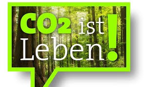 Wir, gemeinsam wieder auf der Straße von Tobias Stein