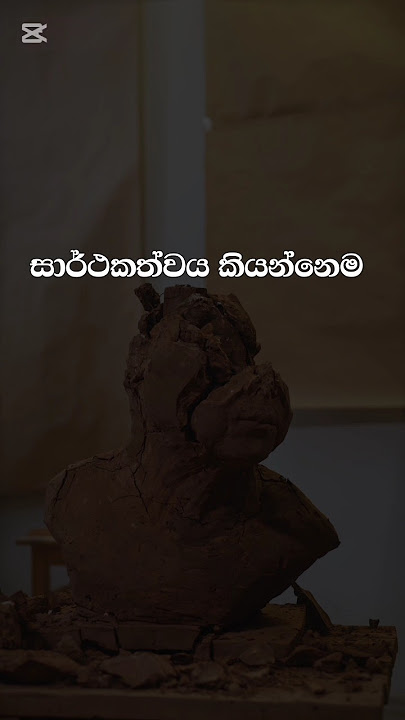 නොකඩවා වැඩ කරන්න 💪 සාර්ථකත්වය ඉතා ළඟයි 😇 #motivation #quo #sinhalamotivationalquotes #ytshorts