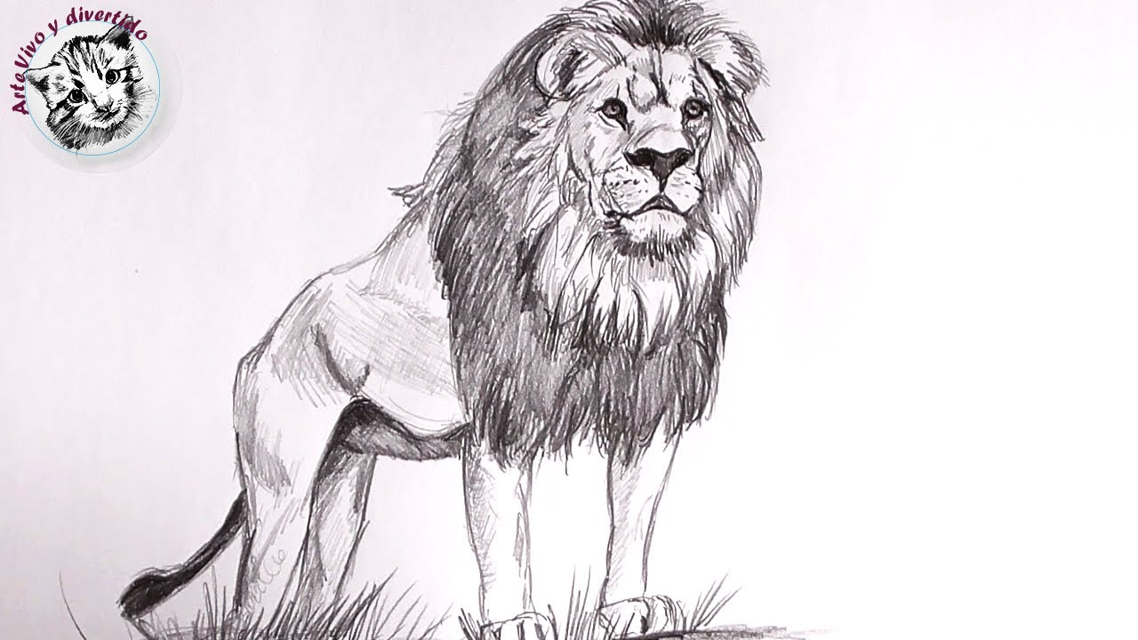 Detalle 36+ imagen dibujos a lápiz de leones