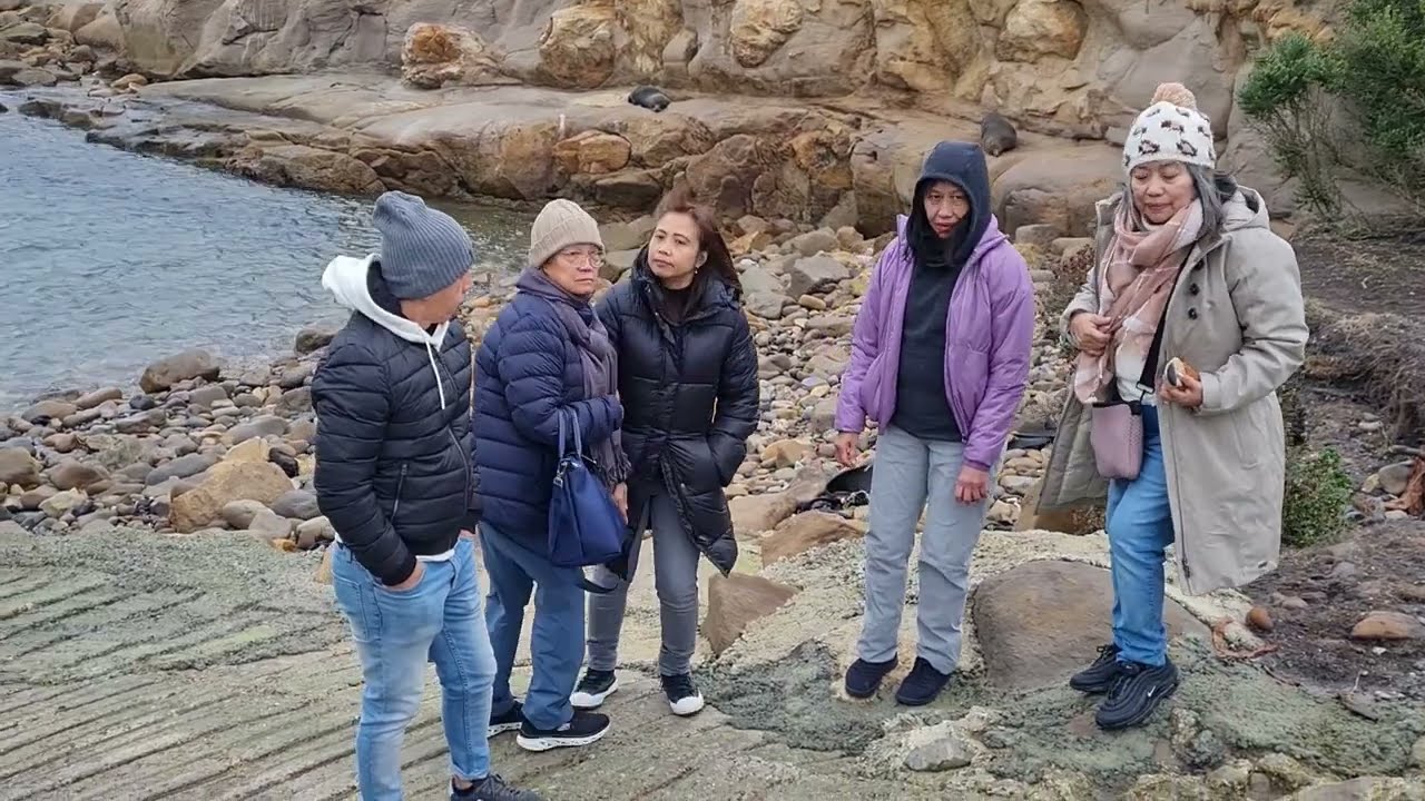 New Zealand: Shaq Point, Waitaki, NZ