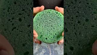 Wet Floral Foam CRUSH 💦 Water Splash Explosion #ASMR