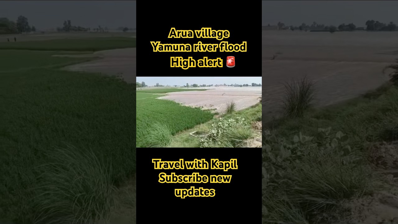 5 September 2025 flood warning ⚠️ Yamuna river disaster 