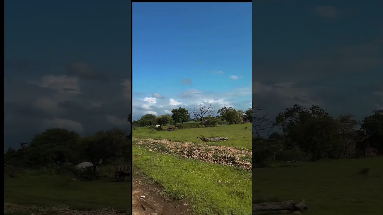 Fresh air therapy.♥️