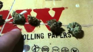8 kinds in one joint