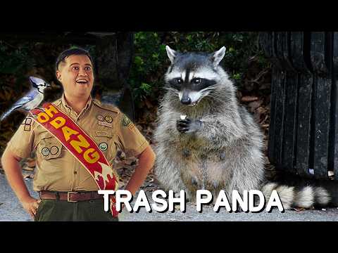 I hid in a garbage can to learn about CITY ANIMALS, so you don't have to | Frick, I Love Nature