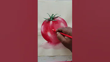 Tomato Shorts Video With Watercolor Painting Kalokali Art Painting Watercolor 