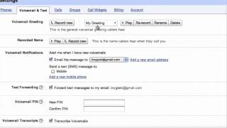 Famous Google Voice Wealth