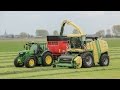 First cut chopping 2017 - Krone Big X 700 -Van Eijck Van Gastel