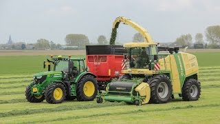 First cut chopping 2017 - Krone Big X 700 -Van Eijck Van Gastel