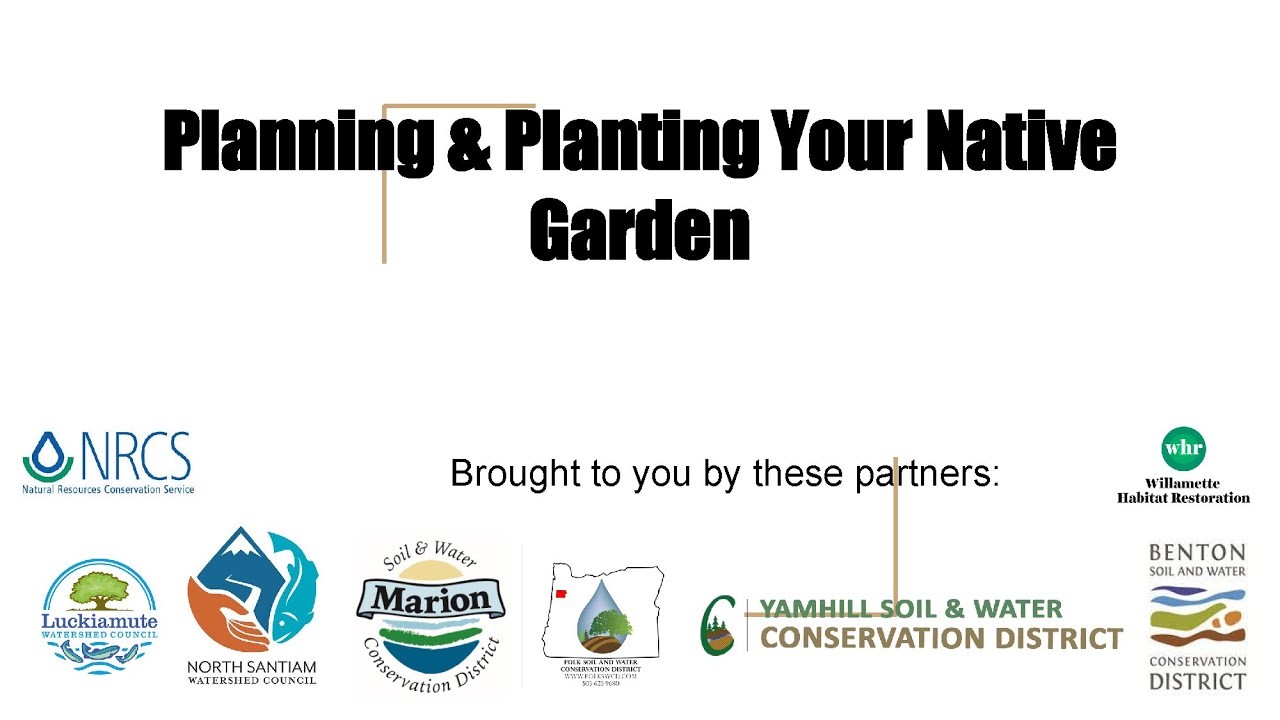 Native Plants - Polk Soil & Water Conservation District