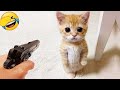 You Laugh You Lose 🤣 Funniest animals will brighten all your day 😻🐶Part 14