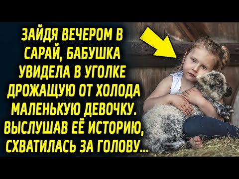 Зайдя вечером в