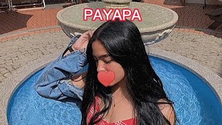 PAYAPA (Lyrics Video)