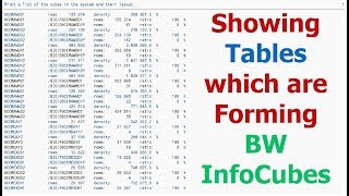 SAP BW: Showing Tables Which Are Forming BW InfoCubes (by SAP_INFOCUBE_DESIGNS)