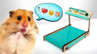 Cara Membuat Treadmill untuk Hamster