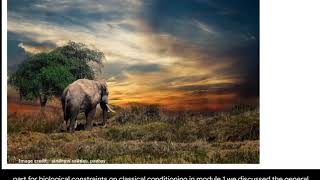 Biological Constraints on Classical Conditioning