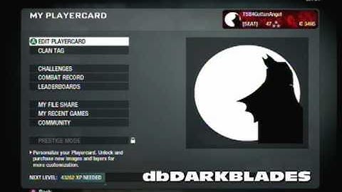 Batman! Call of Duty: Black Ops Emblem Tutorials Ep. 2