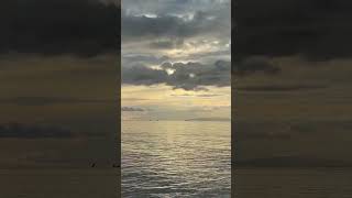 Trying Something #viral #contentcreator #music #trending #ytshorts #like