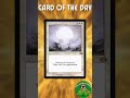 Gibbon's Card of the Day | Wrath of God | Episode 177 | #MTG
