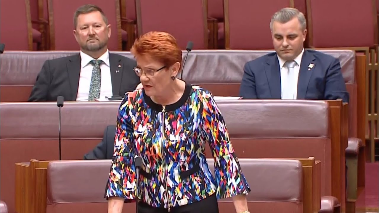 Pauline Hanson addresses the Senate over censure motion