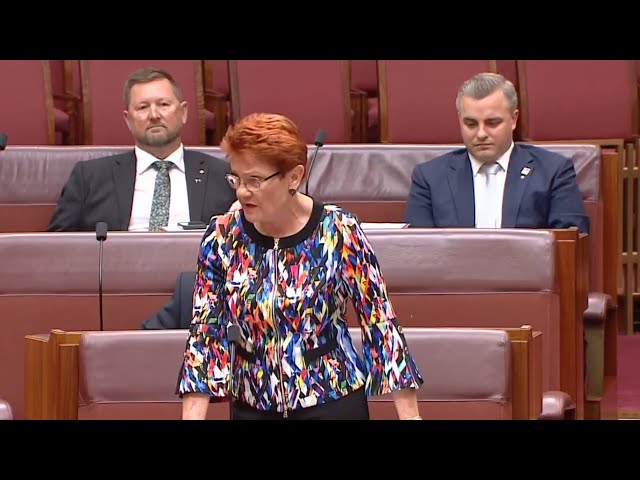 Pauline Hanson addresses the Senate over censure motion ...
