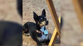 News 3 New Mexico  -  LIVE at 5:00